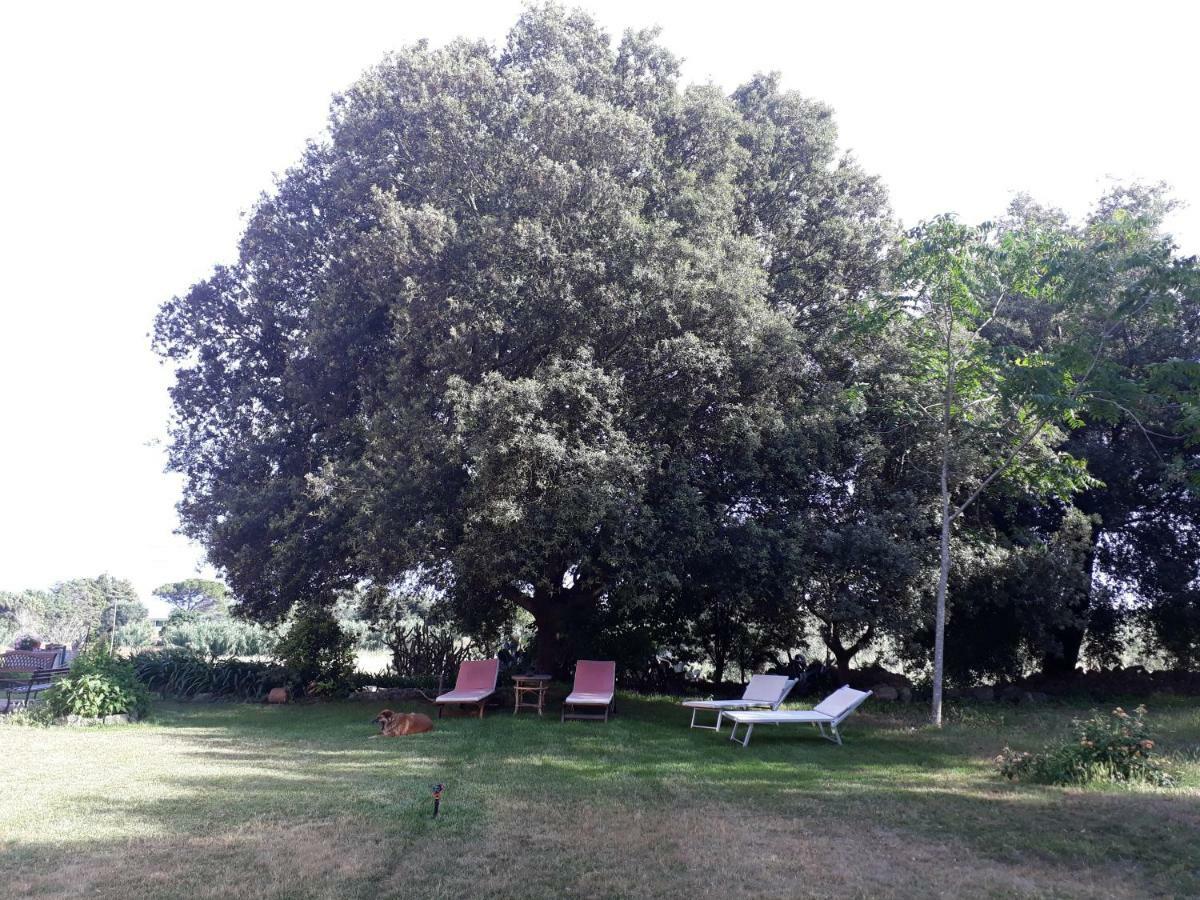 Tenuta Argiano Mesagne Exterior foto